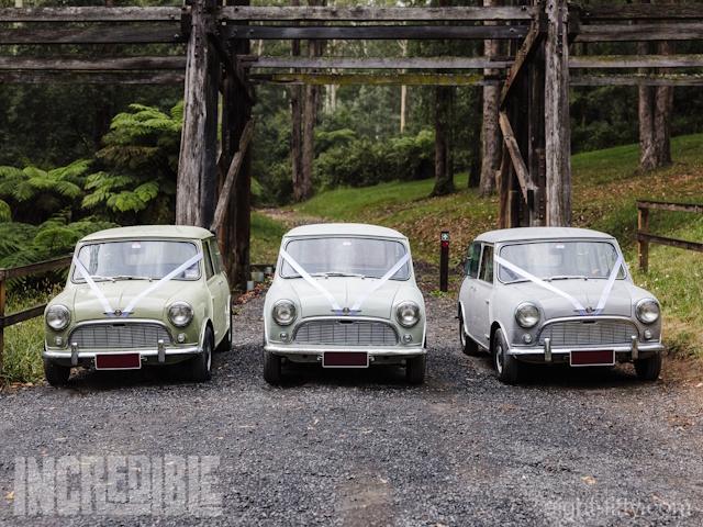 Performing as a lead wedding car alongside two Morris 850s.